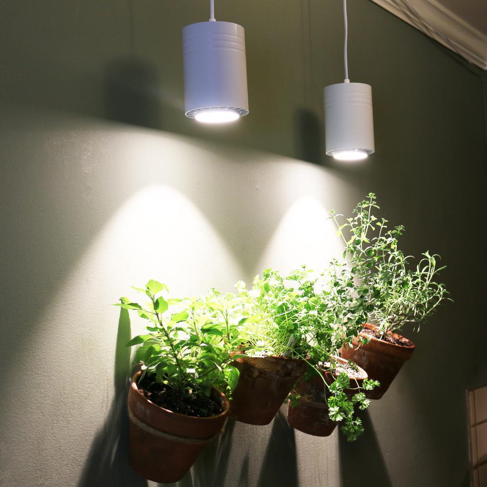 Лучшая подсветка для цветов. Освещение для комнатных растений. Лампа для комнатных растений. Лампы для цветов комнатных. Подсветка растений в интерьере.