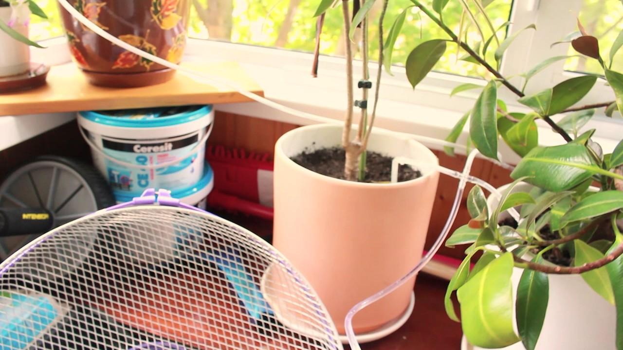 Автоматический полив комнатных растений своими руками