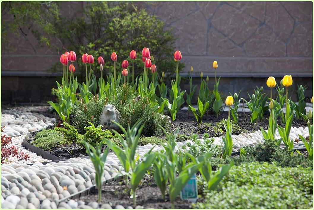 Можно ли посадить тюльпаны в марте. Клумба с тюльпанами. Красивые клумбы с тюльпанами. Весенний цветник. Тюльпаны в ландшафте.