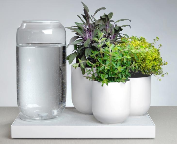 Как смягчить воду для полива растений