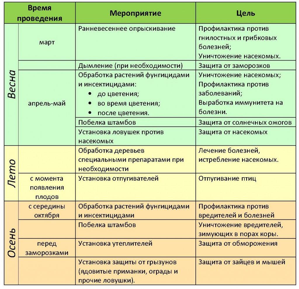 Схема опрыскивания плодовых деревьев