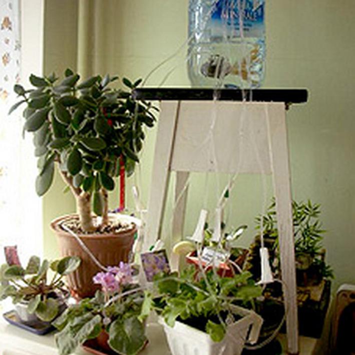 Как сделать автополив для комнатных растений своими руками