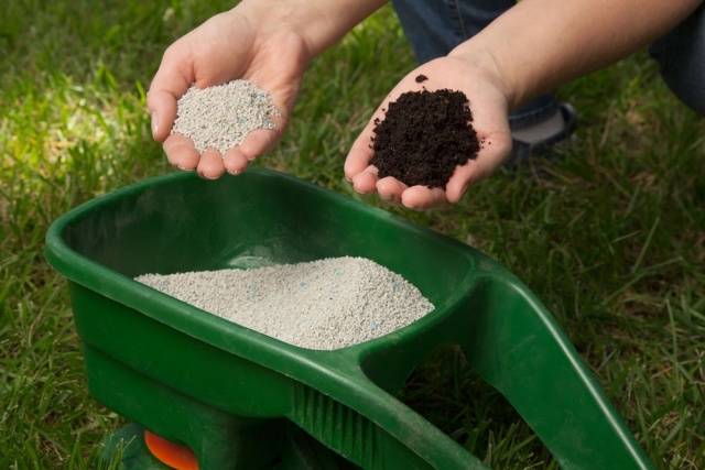 Какие удобрения вносить весной в почву: подробная инструкция, чем подкормить сад, огород, цветник и газон